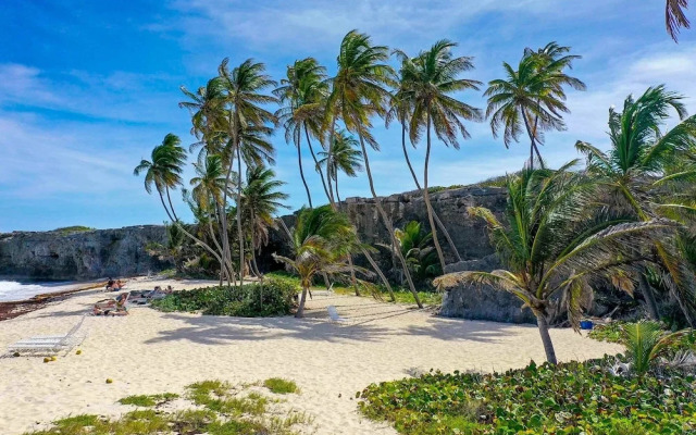 Ocean View by Bluescape