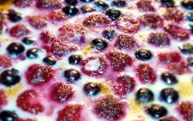 Cabaña Bosques de Cudico