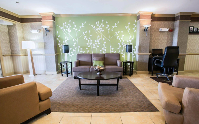 Spark by Hilton Killeen