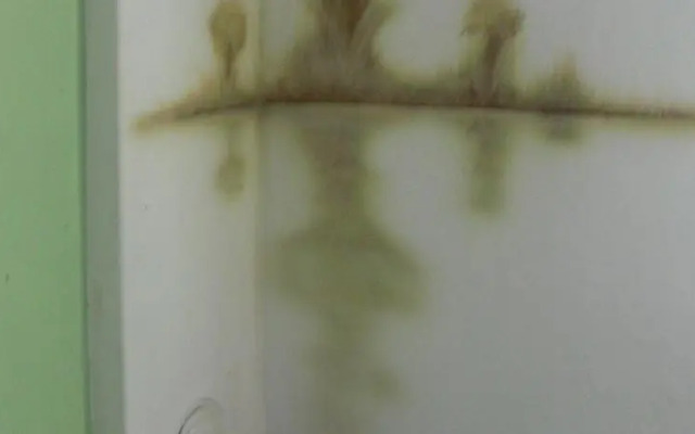 Sofia Choice Guesthouse