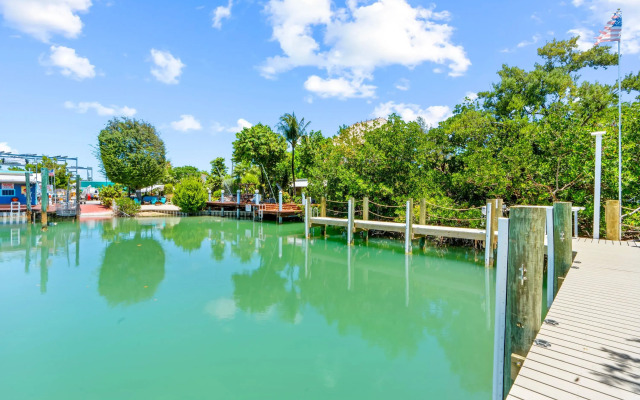 Paradise Point Pool Dock Lounges BBQ