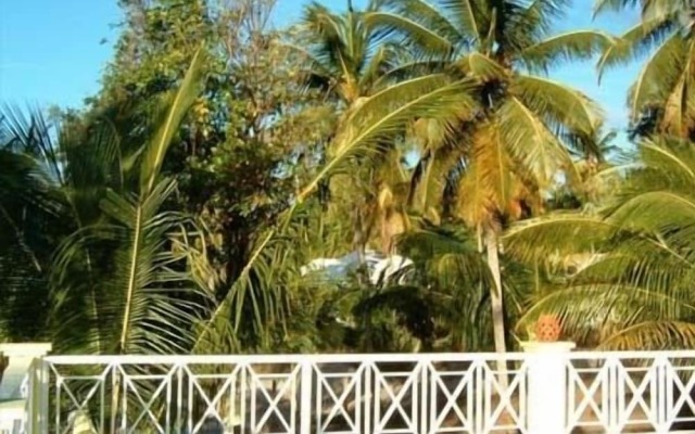 Yellow Bird Villa