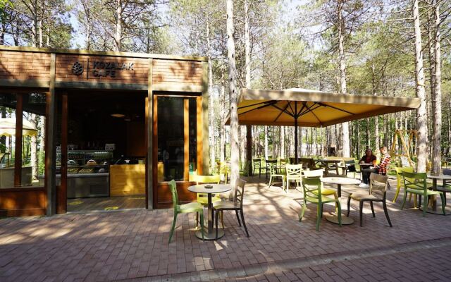 Longosphere Glamping