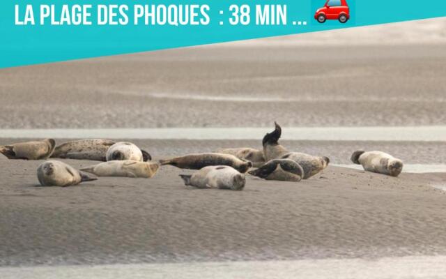 Les Pénates de Camiers