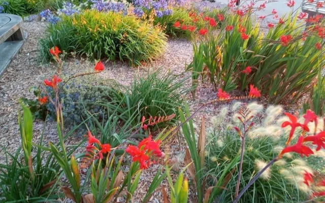 Westward HO Horizon View 30 2 Bedrooms