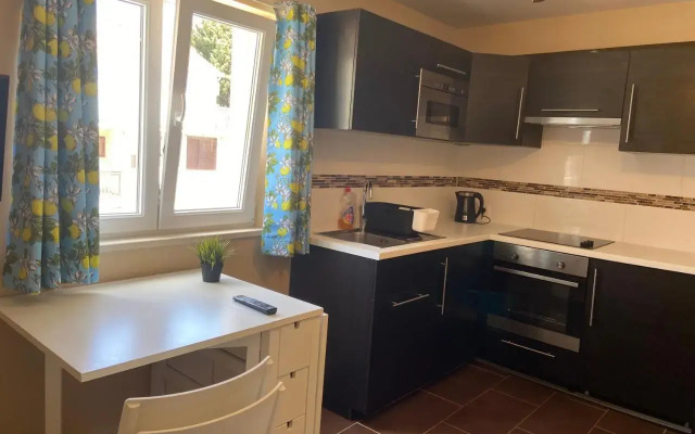 Apartments Villa Roza