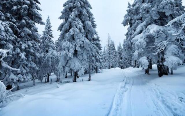 Cihlářka - horský apartmán 103