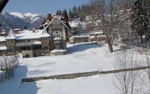 Hotel Silvia Apart Sinaia