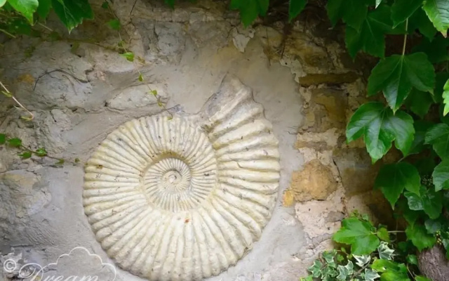 Fossil Barn