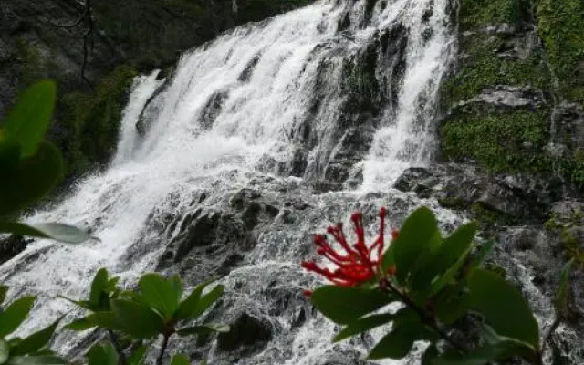 Agroturismo Estancia Mercedes