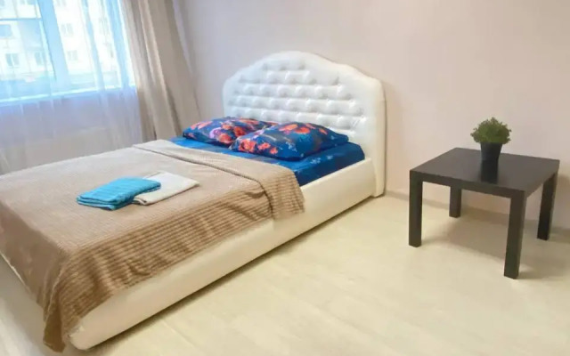 Apartments on Kirov Avenue 89