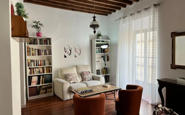 Gran Apartamento Centro Histórico