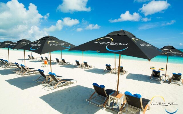 One On Marlin – Adults Only