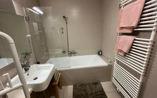 Golden Fox Apartment Pohorje