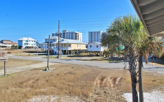 Sea Walley by Youngs Suncoast