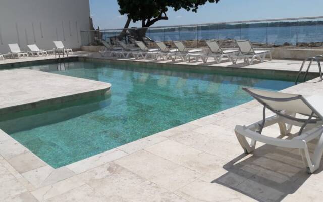 Building Palmetto Sunset 1503