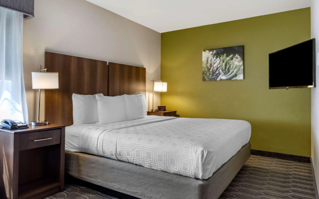 Best Western North Phoenix Hotel
