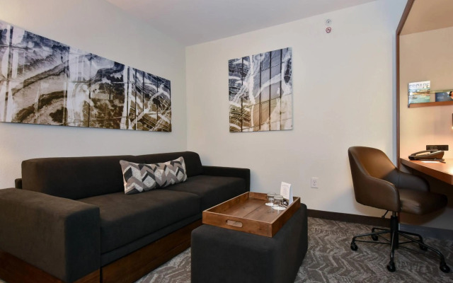 SpringHill Suites by Marriott Columbia Downtown/The Vista