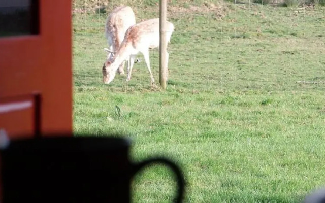 Yourtes du Moulin Bertrand