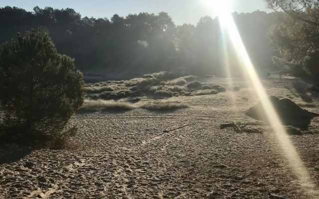 Holiday Apartment Salt and Dunes