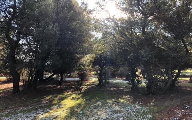 La Olma Apartamentos