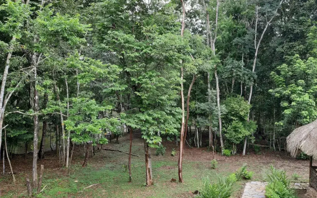 Campamento Lacandones