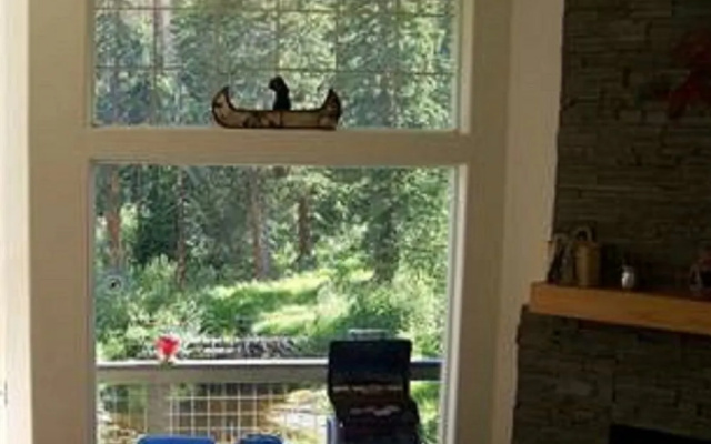 Mountain Managers At Silverthorne