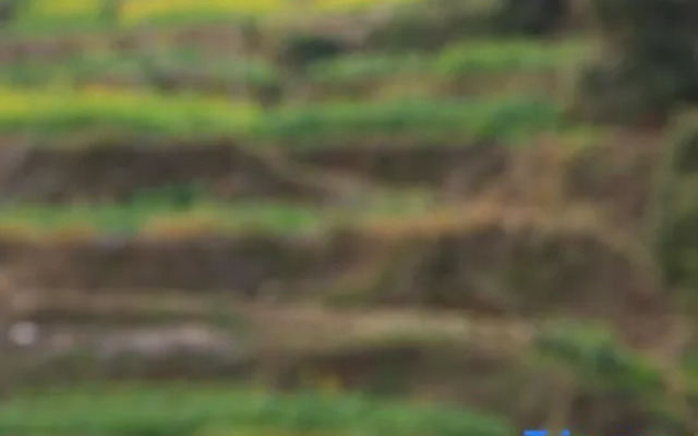 Yundu Meisu (Huangling Scenic Area Store)