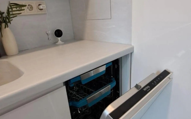 Апартаменты на проспекте Курортный  96Г