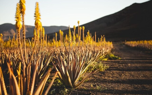 Casas Pilar, Aurora y Tarabilla en finca ecológica