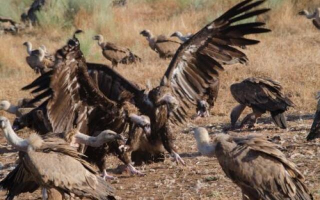 Casa Rural la Cañada