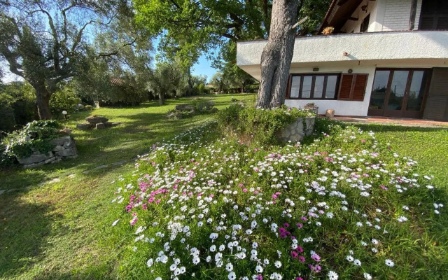 Wild Oaks Cottage