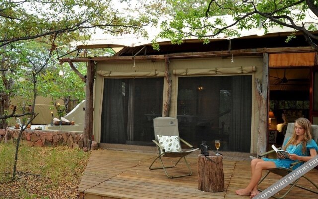 Rhino Safari Camp