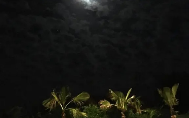 Les cigales des prés Studio