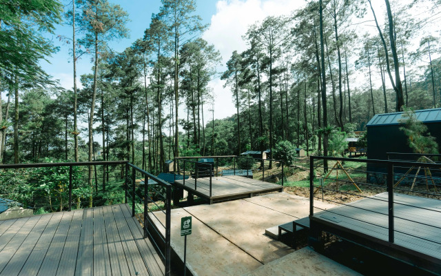Bobocabin Padusan