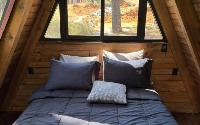 PINE TREE Hotel Boutique & Cabañas