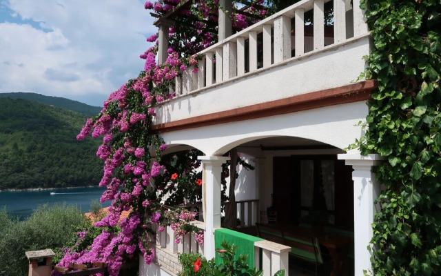 Violetta Duga Luka in Duga Luka