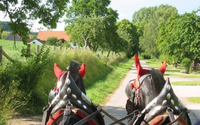 Hotel & Restaurant - Gasthaus Brandner