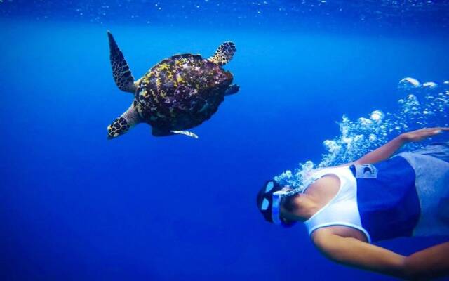 Mariana Inn Maldives