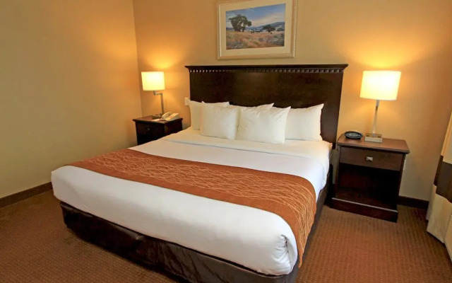 Comfort Suites Austin Airport