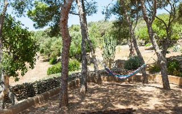 Finca Pessal