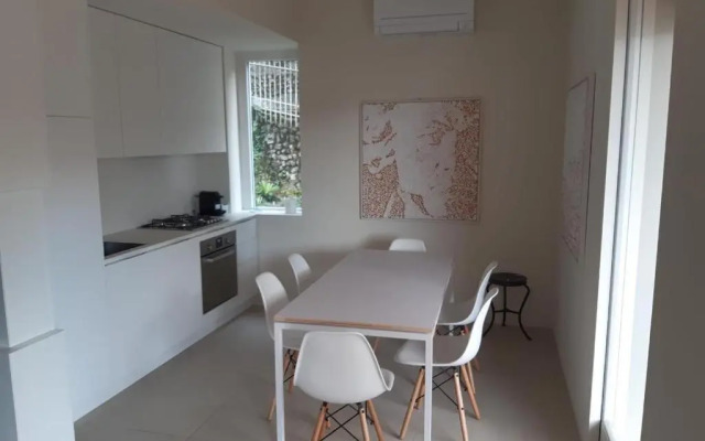 Olivo House 2