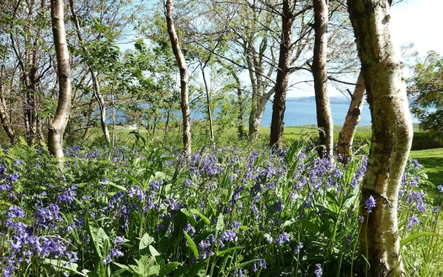 Steading Holidays - Ceol na Mara