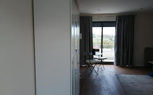 QUINTA DA LOUSA Guest House - VALONGO - PORTO