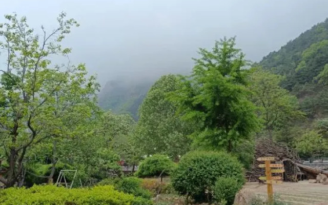 Beijing Wood Banren Art Manor