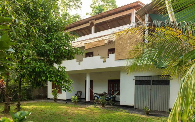 Jungleside House