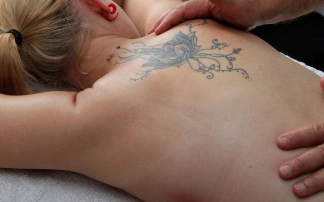 La Petite Bruyere De Renaix