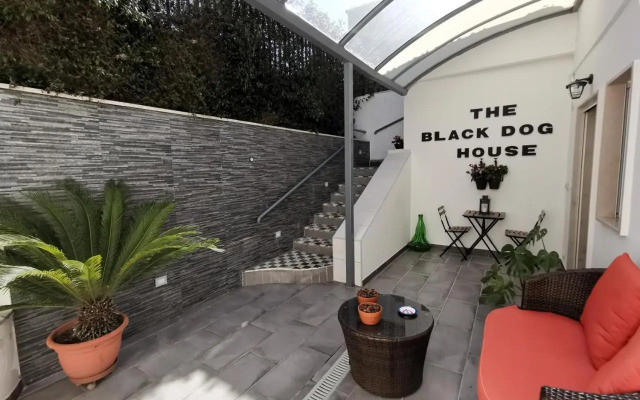 The black dog house
