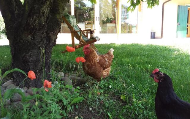 “Al Campo”