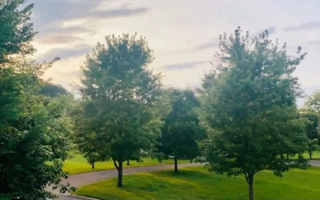 Zeek's Retreat 3 Bedroom Home by RedAwning